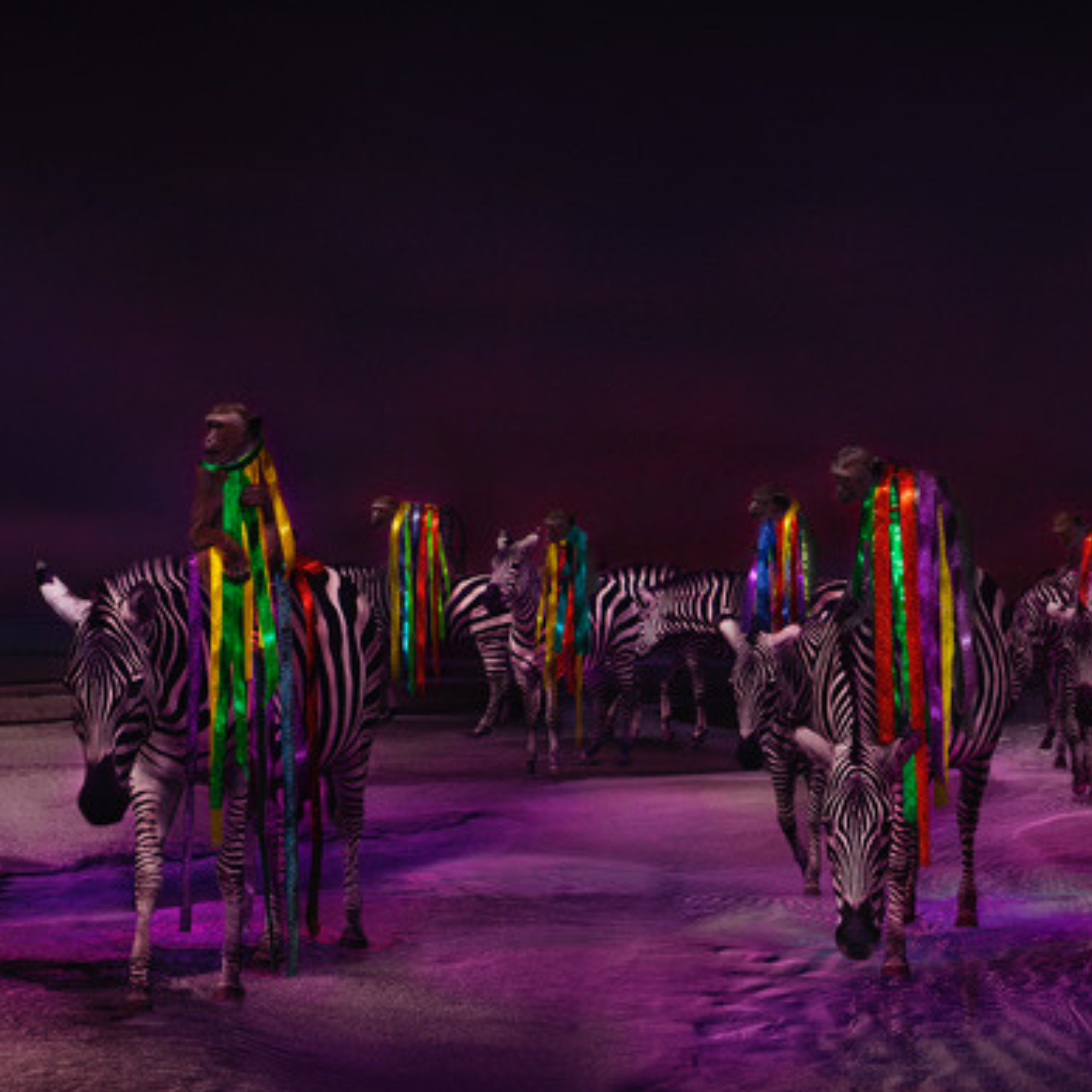 Monkeys riding along the wadden sea