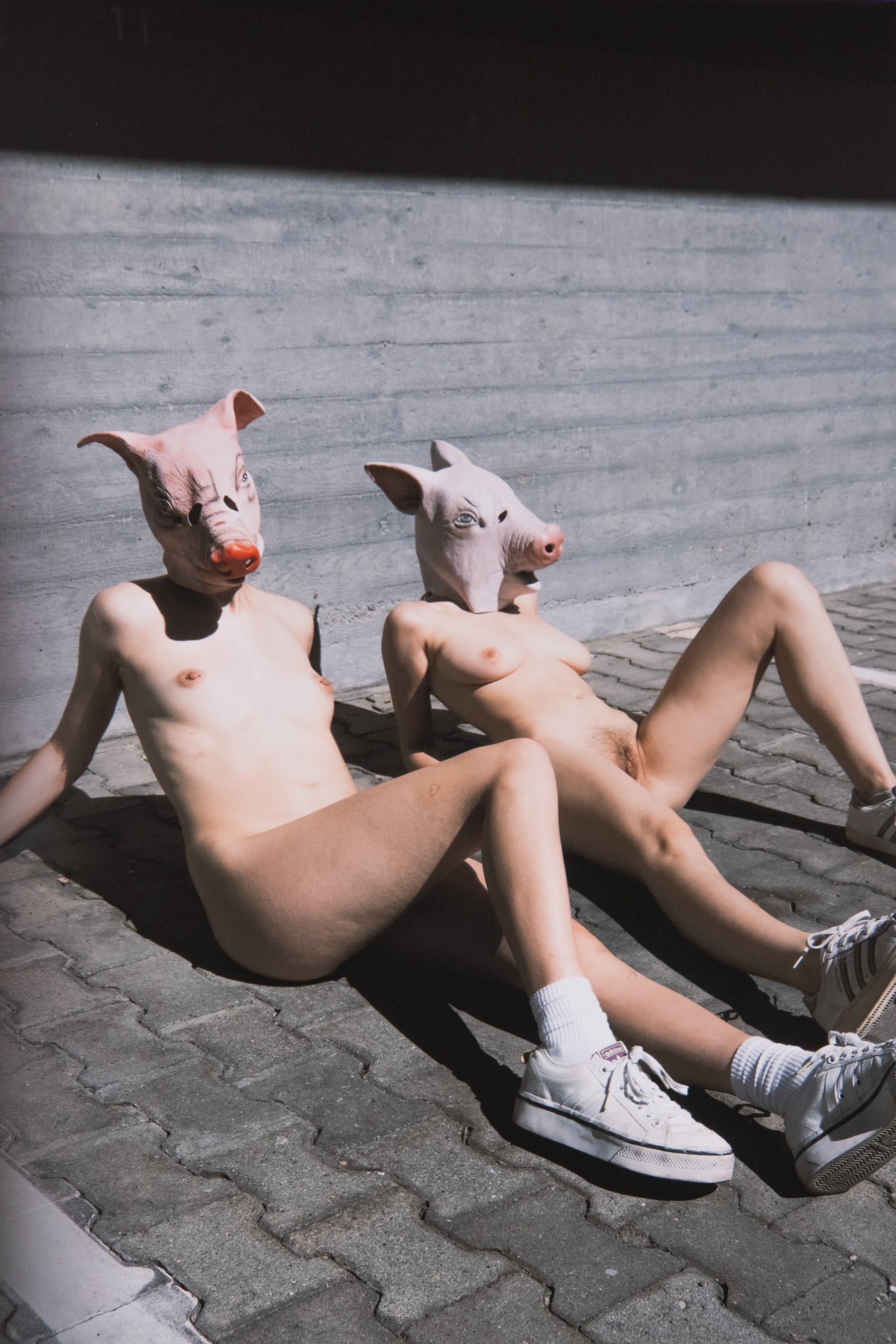 Pigs / 03